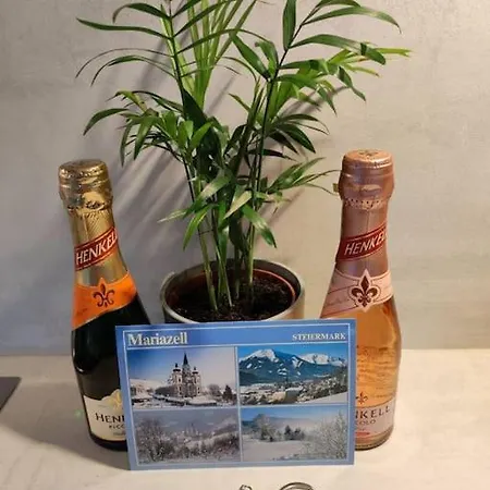 Eni-time Mit Jakuzzi Und Sauna * Mariazell