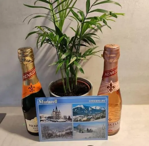 Eni-time Mit Jakuzzi Und Sauna * 玛利亚采尔