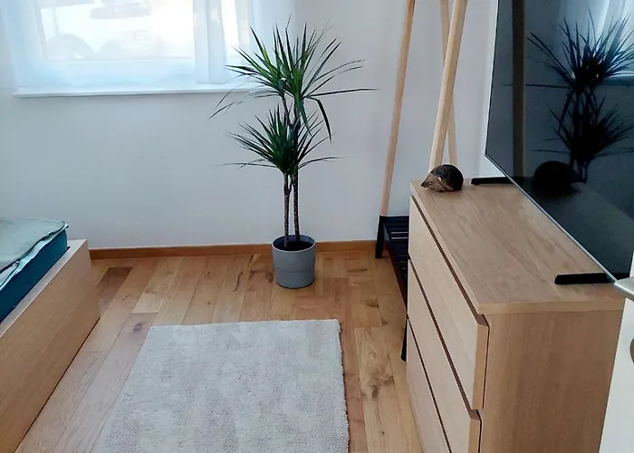 公寓 Eni-time Mit Jakuzzi Und Sauna 玛利亚采尔