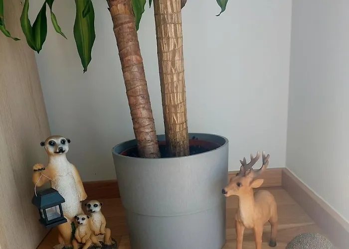 Eni-time Mit Jakuzzi Und Sauna 公寓